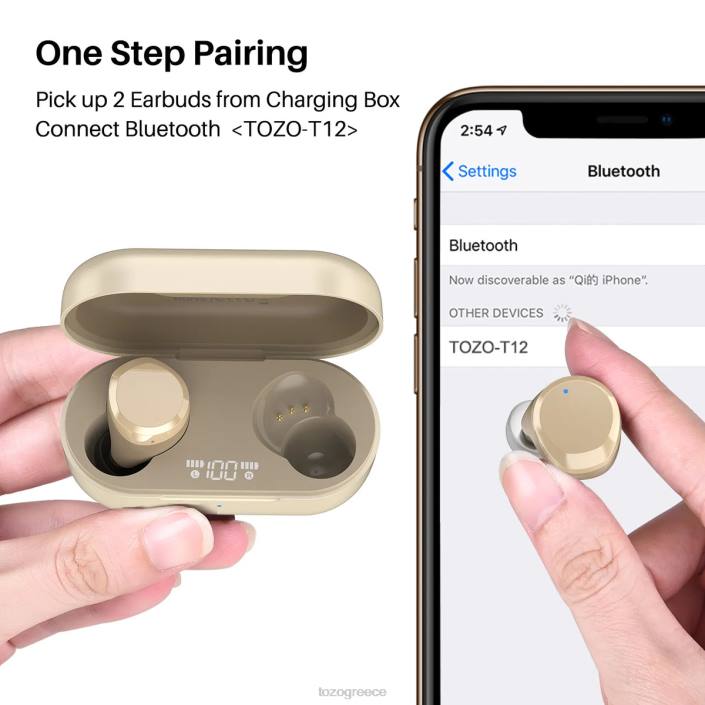 TOZO t12 σαμπάνια ακουστικά H6VX48